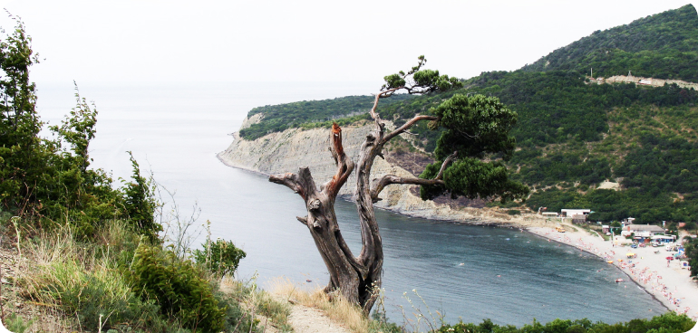 Отель «Villa Sofia»